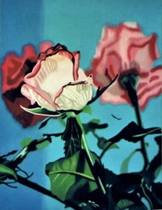 Rosen scharf-unscharf,  2005, Öl-LW, 100x80cm