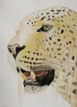 Ina Hsu, Portrait Leopard, Öl,Acryl-LW