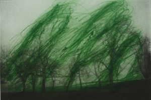 Rainer, Mein Obstgarten 1 grün, 2001, Heliogravure, 16x24,3cm